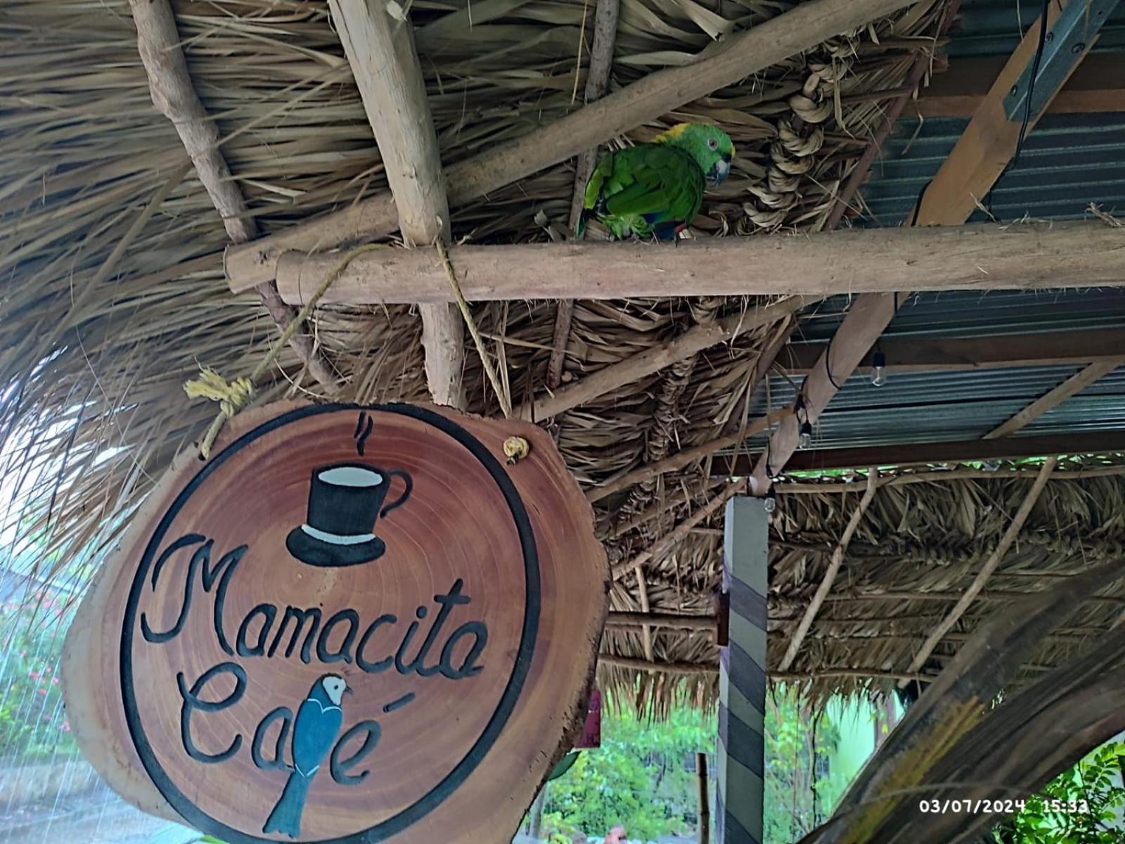 Mamacita Cafe House Ξενοδοχείο Moyogalpa Εξωτερικό φωτογραφία