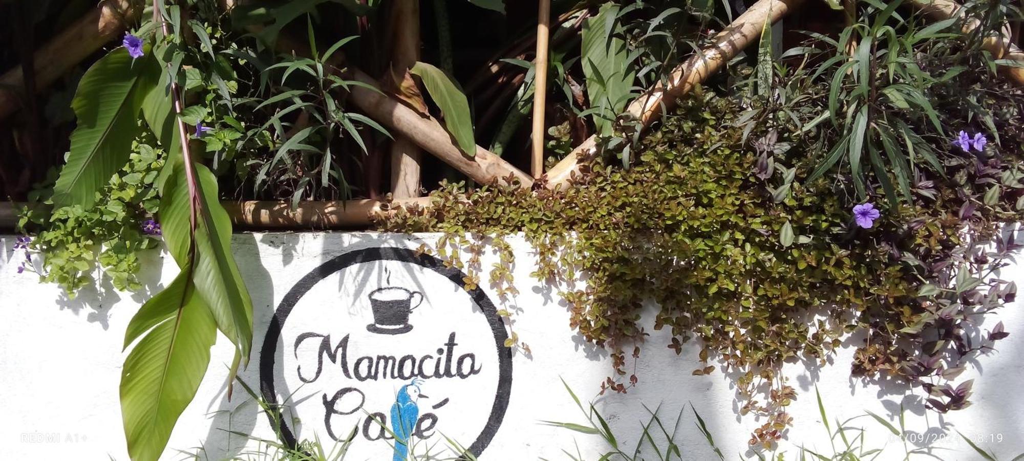 Mamacita Cafe House Ξενοδοχείο Moyogalpa Εξωτερικό φωτογραφία